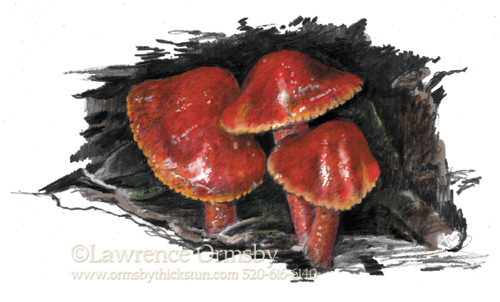 red mushrooms